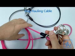 มัดสายสุนัขออก